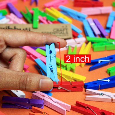 Multicolored Wooden Pegs - 2 inch - MySkillShaala
